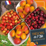 fruits-tresors-de-lisle