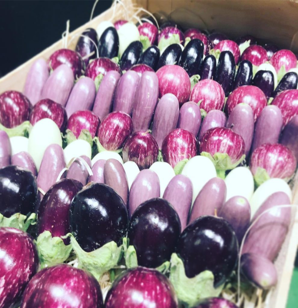 aubergine-cailloux