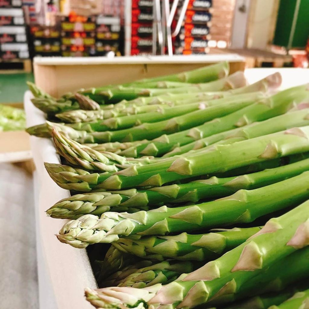 Asperge Française