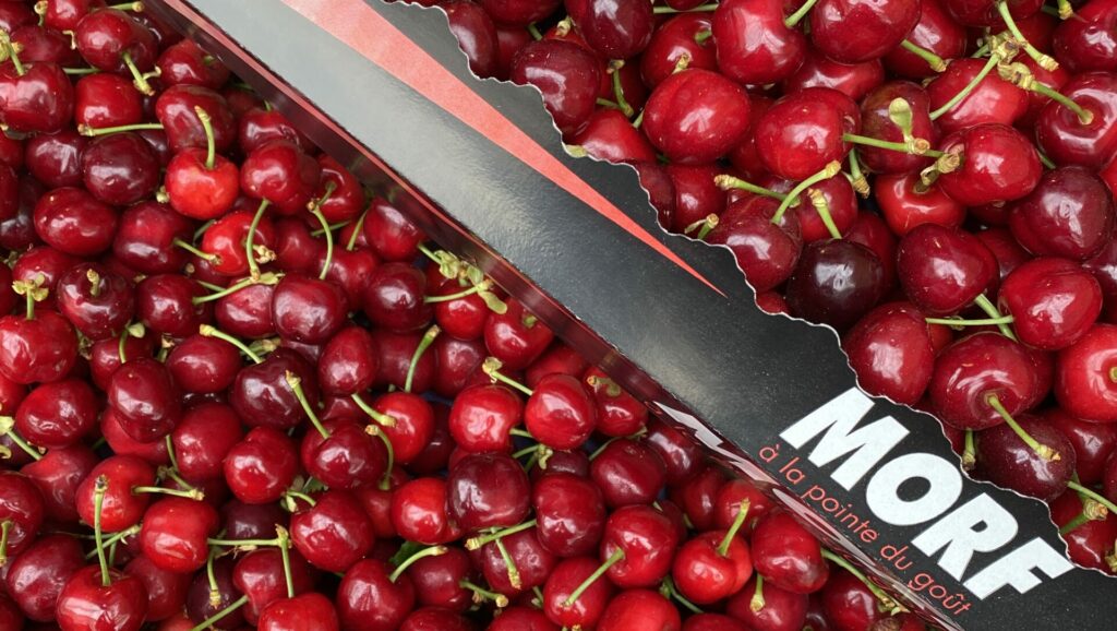 Cerises Françaises