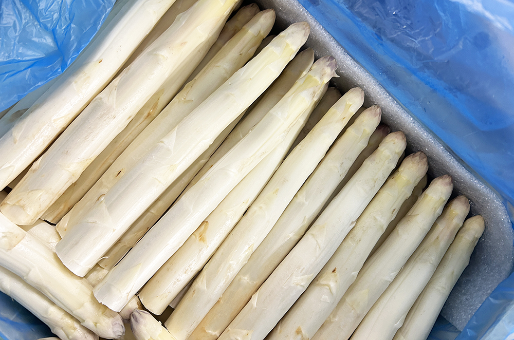 Asperge ok