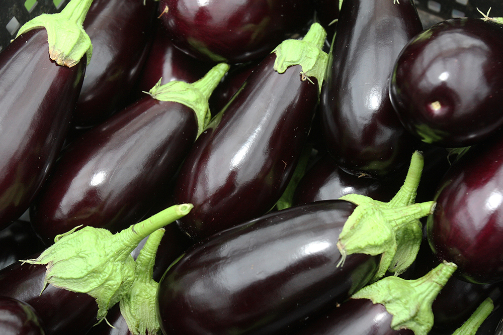 Eggplants