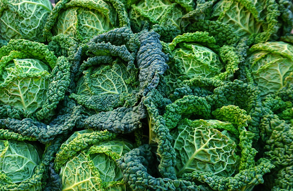 Green head of kale top view natural, organic and health vegetab