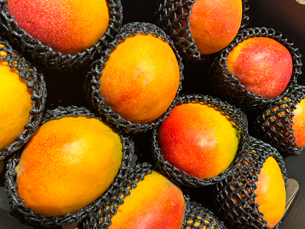 Mangue ok