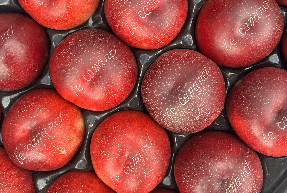 Nectarine ok