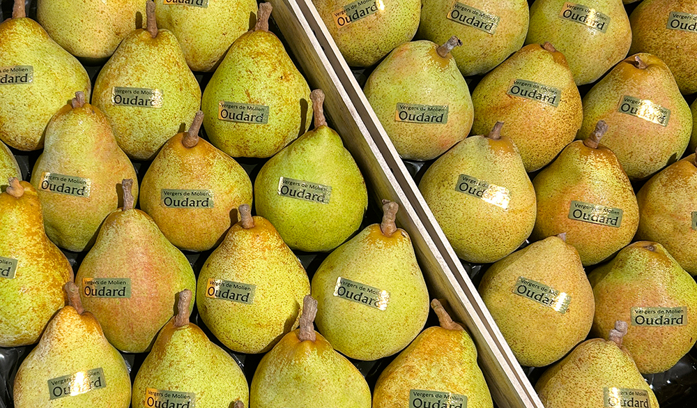 Poire oudard ok