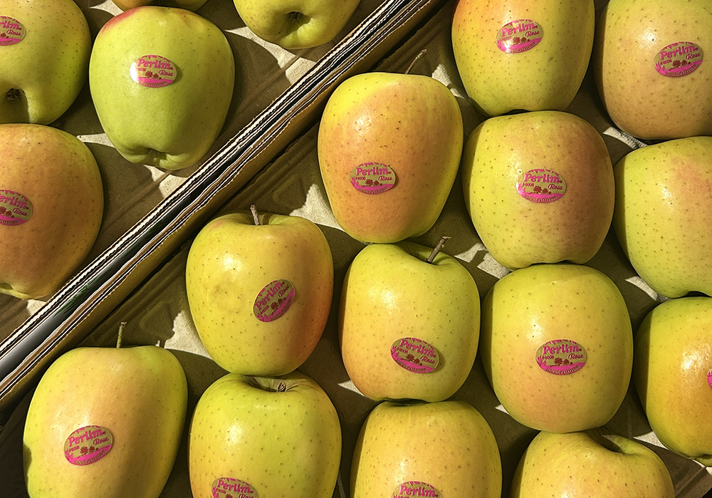 Pomme ok