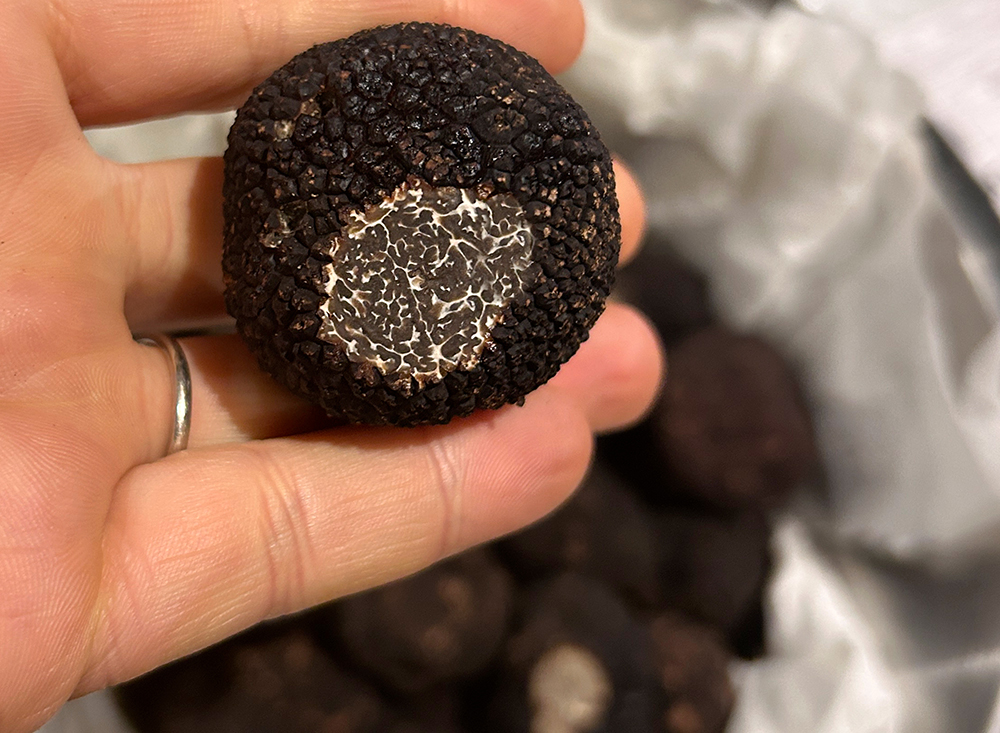 Truffe ok